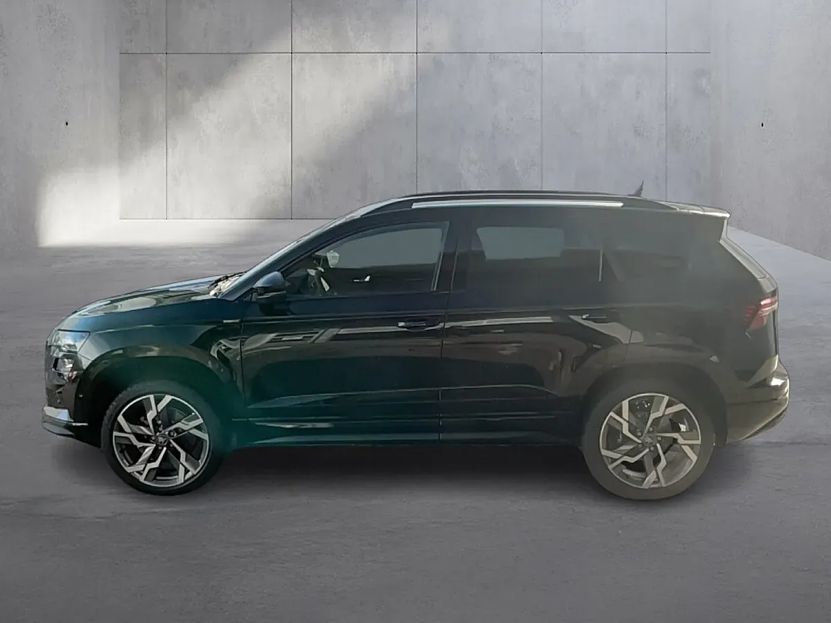 Skoda Karoq 2026 photo 2