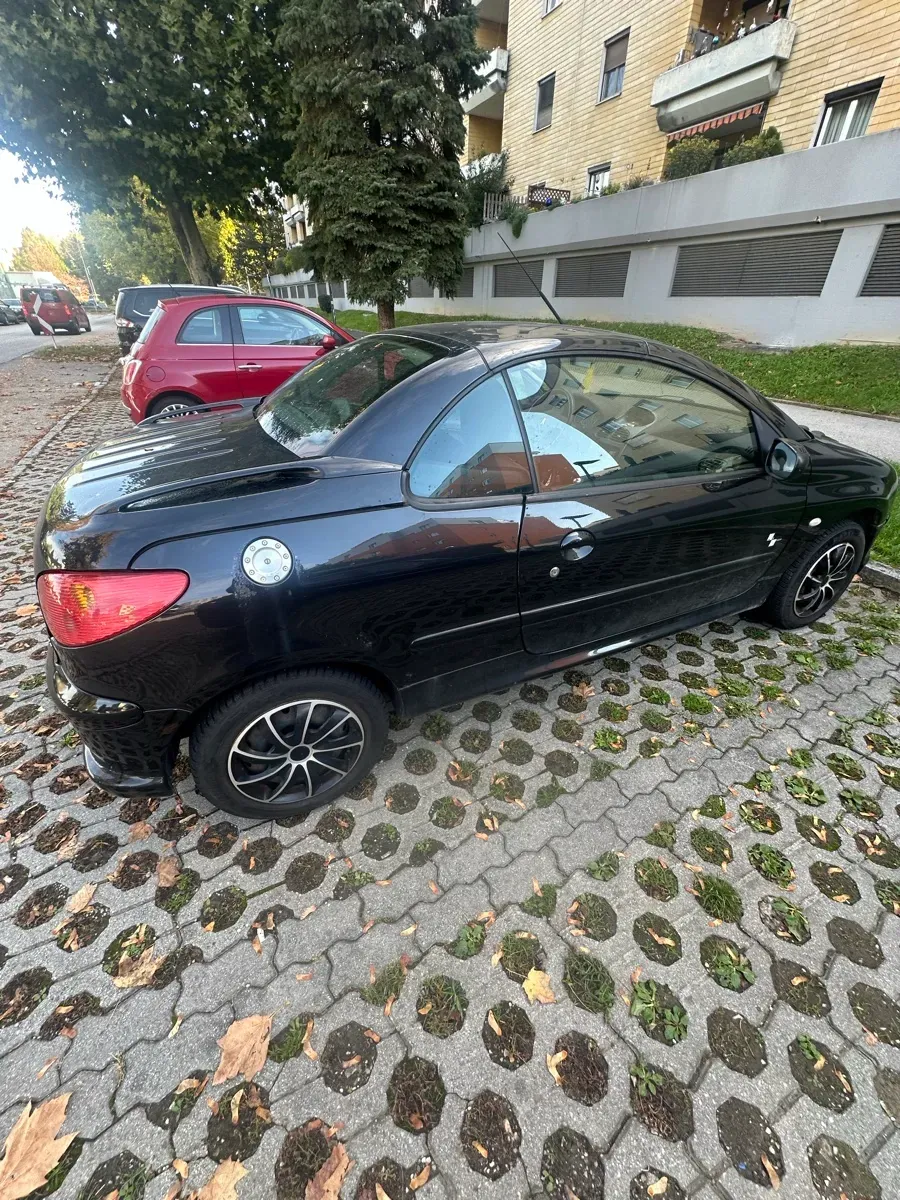 Peugeot 206 2004 photo 2