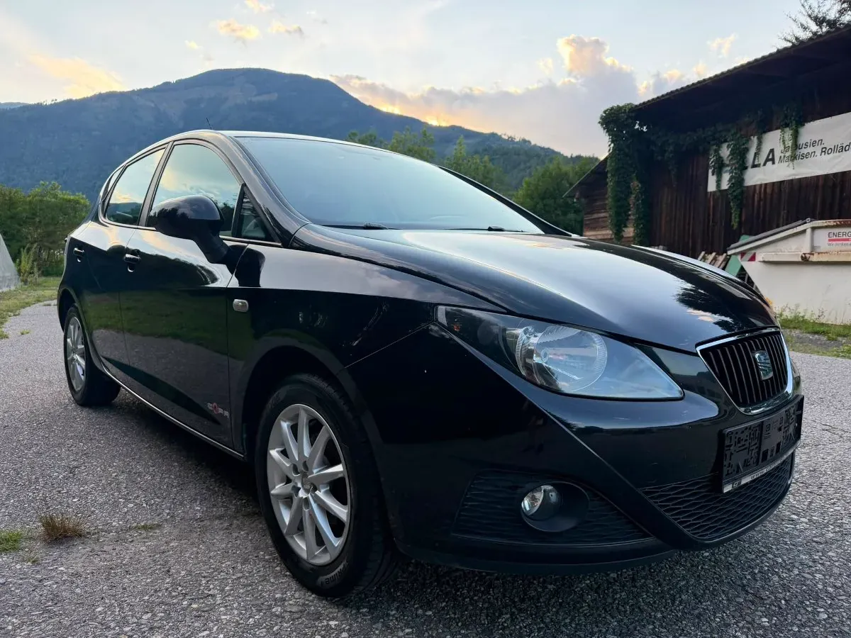 Seat Ibiza 2011 photo 2