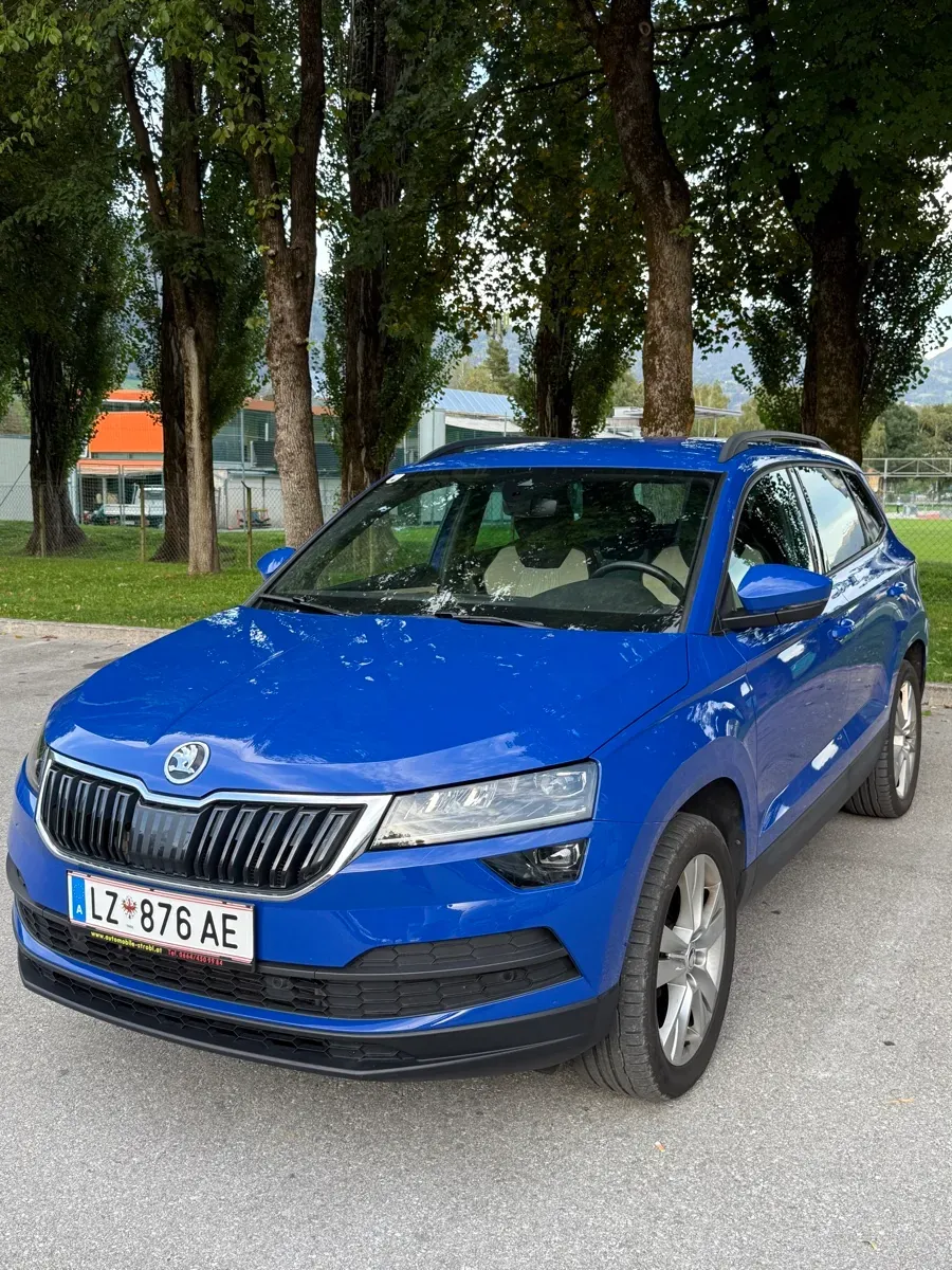 Skoda Karoq 2019 photo 3