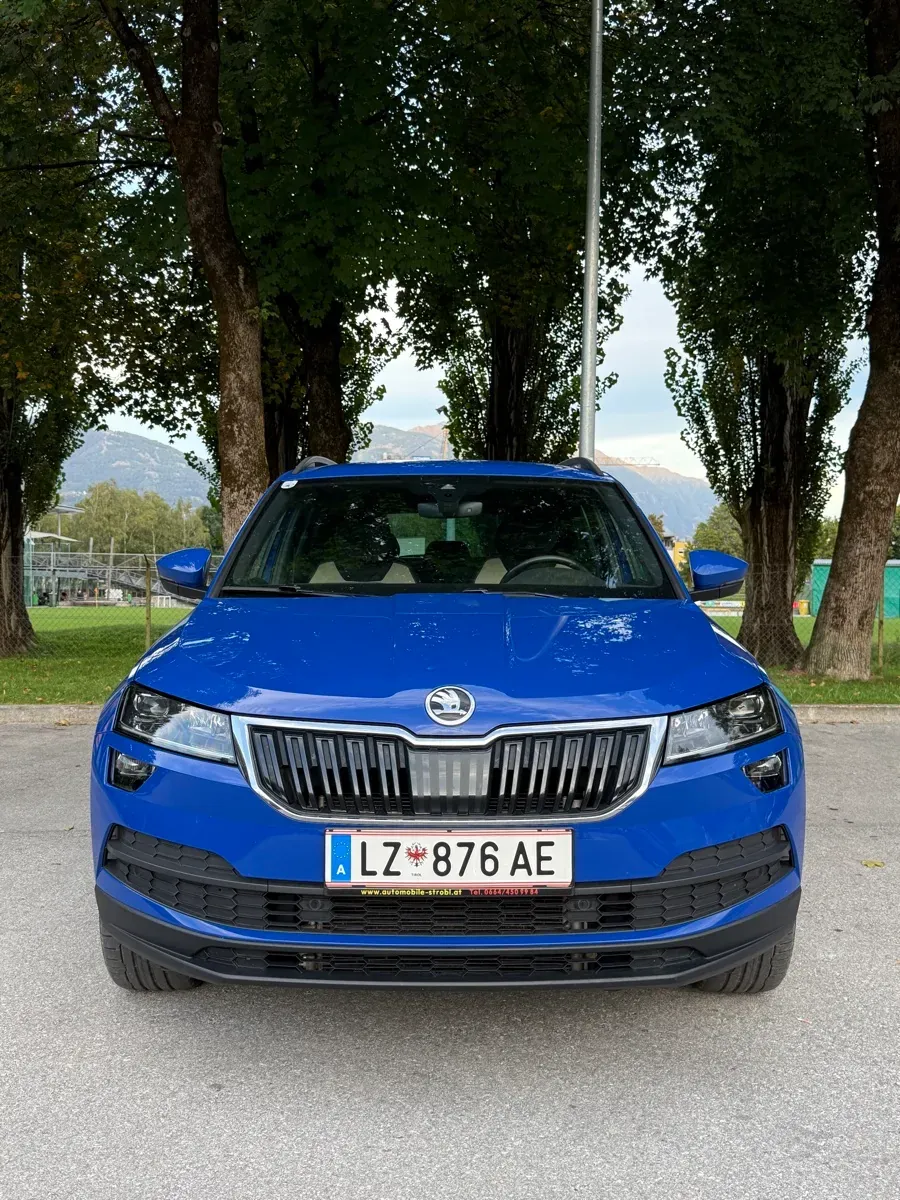 Skoda Karoq 2019 photo 2