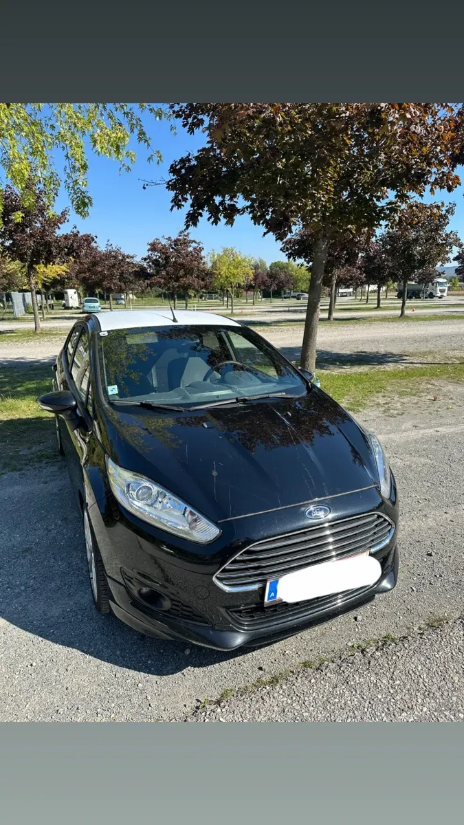 Ford Fiesta 2017 photo 2