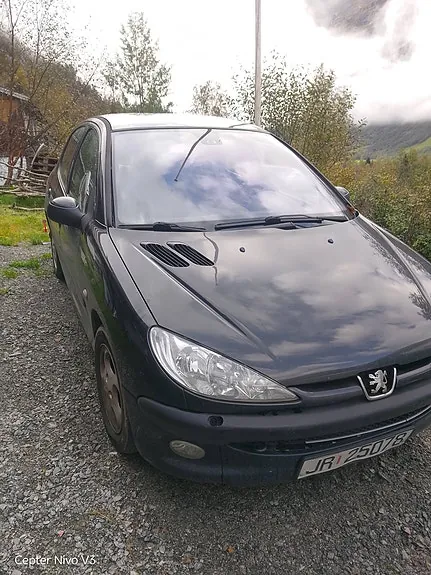 Peugeot 206 2004 photo 2