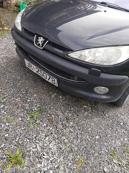 Peugeot 206 2004 photo 3