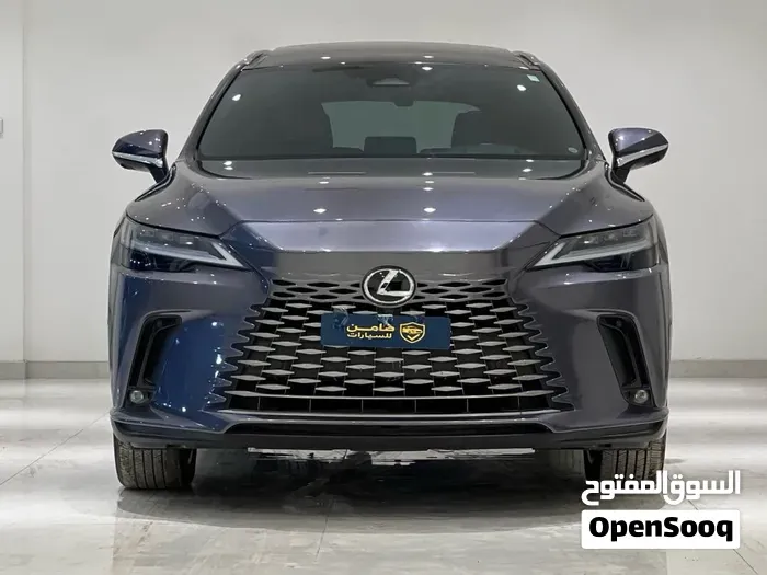 Lexus Rx 350 2023 photo 2