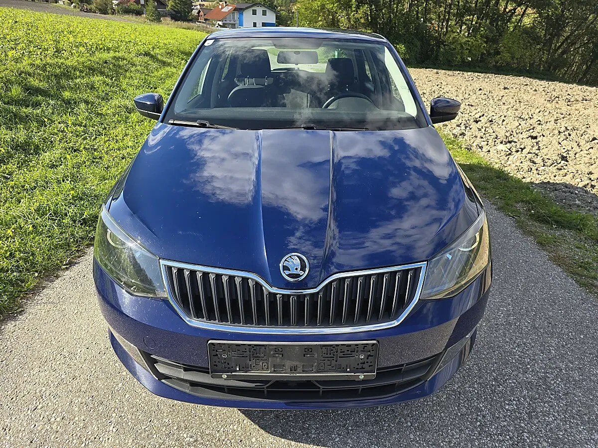 Skoda Fabia 2015 photo 2