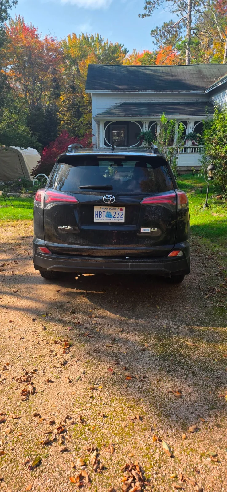 Toyota Rav4 2018 photo 3