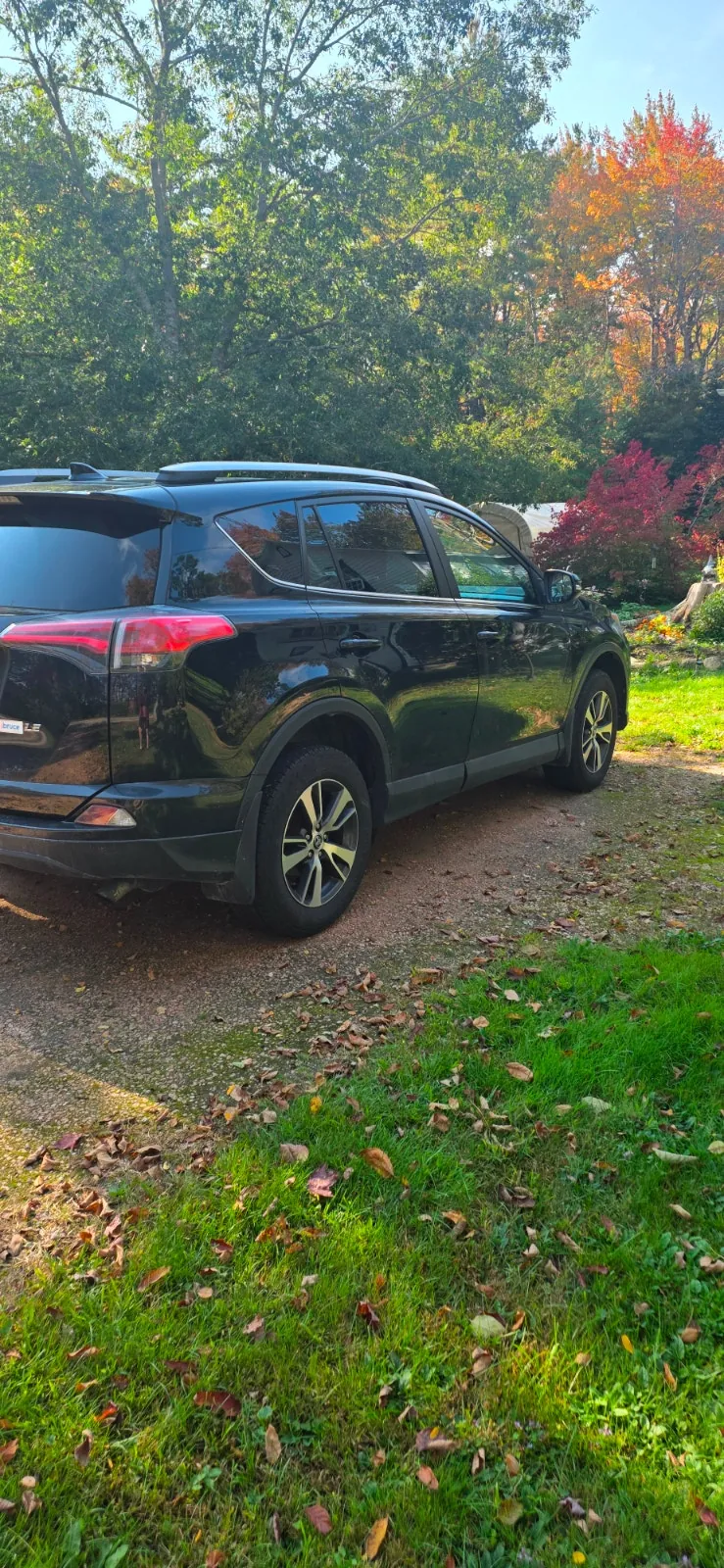 Toyota Rav4 2018 photo 2
