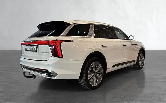 Hongqi E-Hs9 2022 photo 5