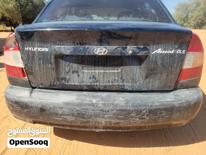 Hyundai Verna 2002 photo 3