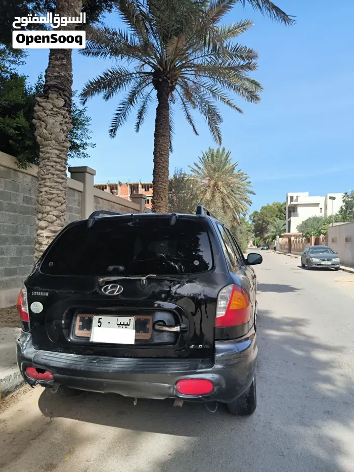 Hyundai Santa Fe 2004 photo 2