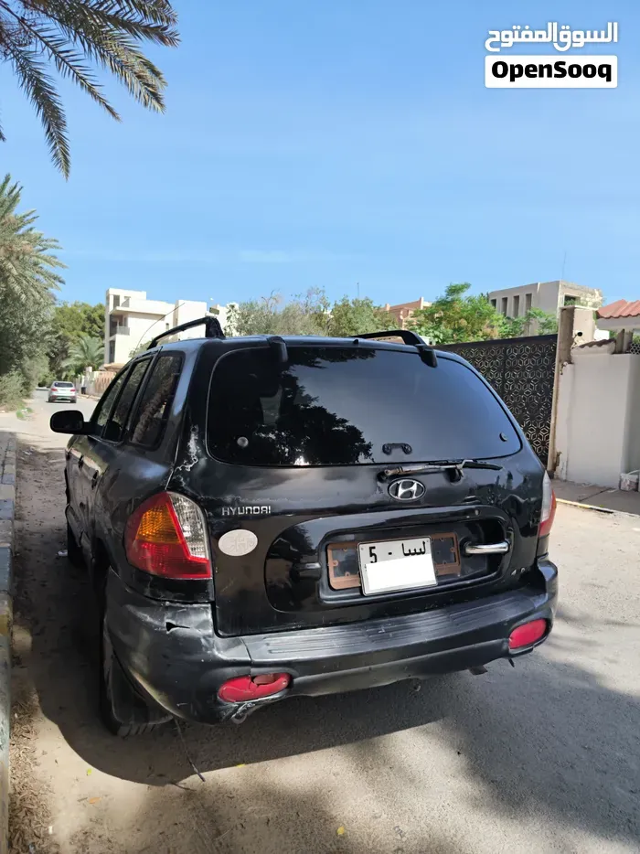 Hyundai Santa Fe 2004 photo 3