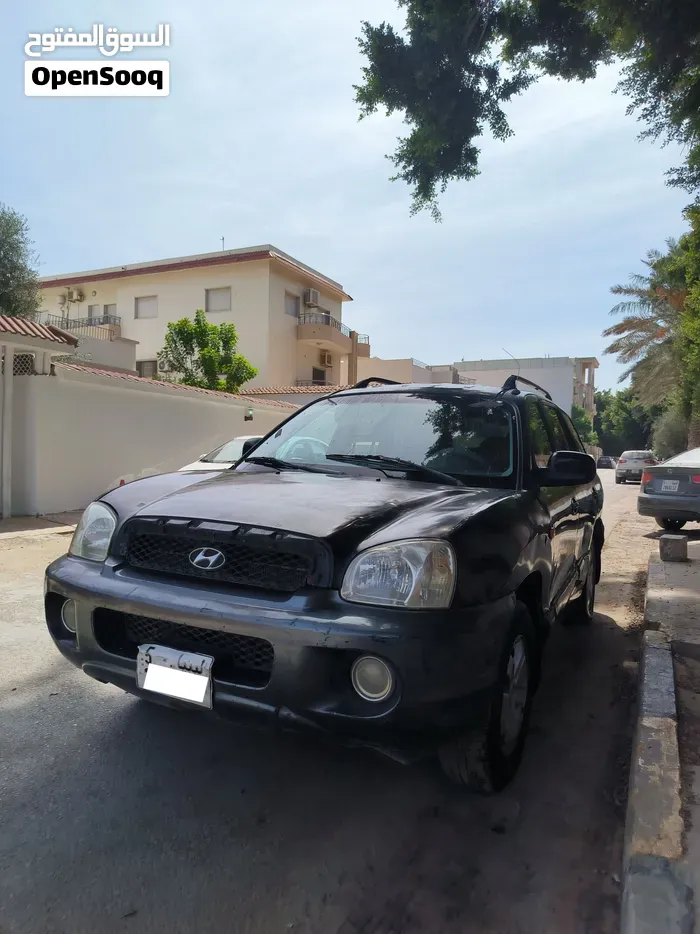 Hyundai Santa Fe 2004 photo 4