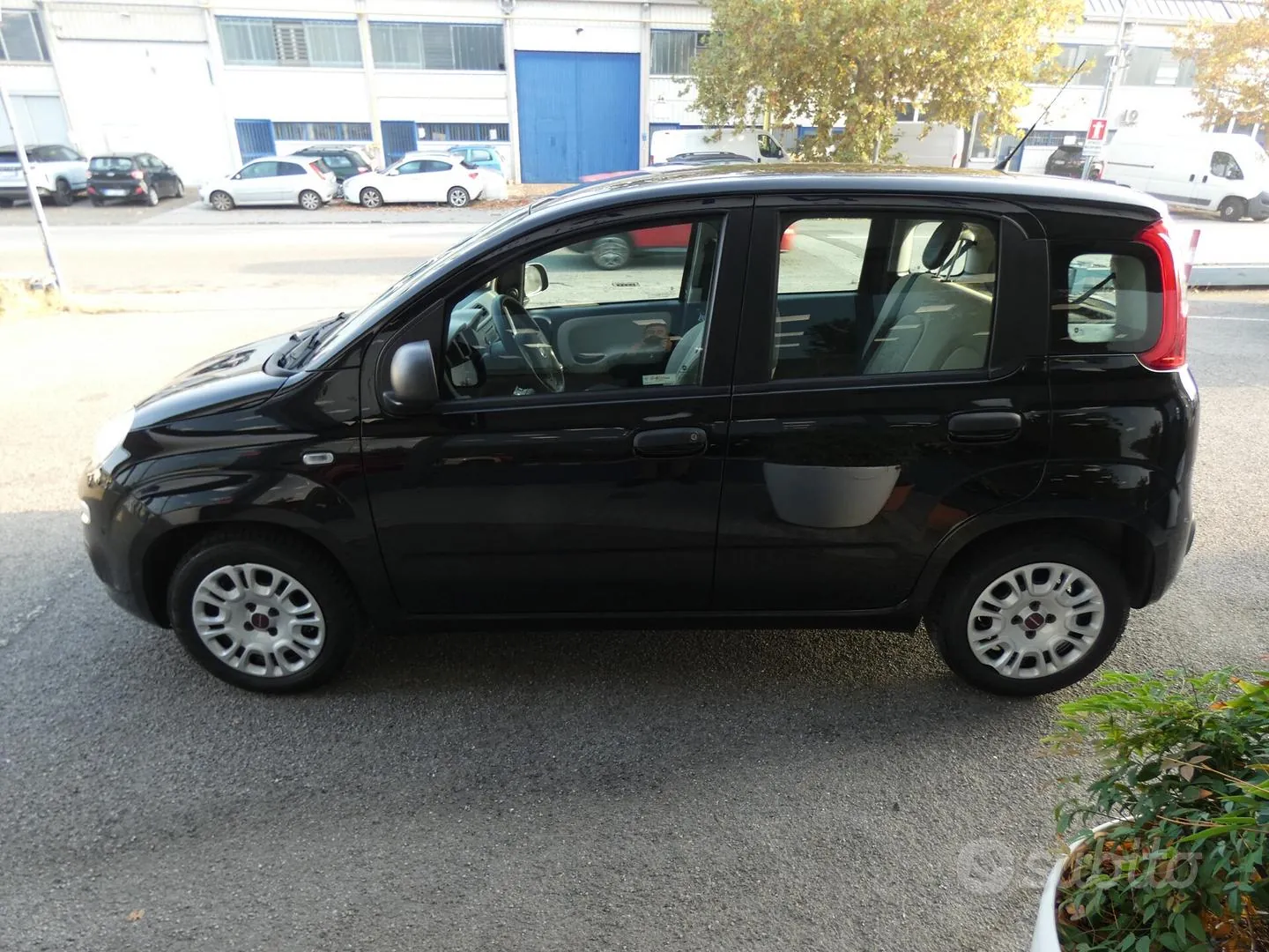 Fiat Panda 2016 photo 3