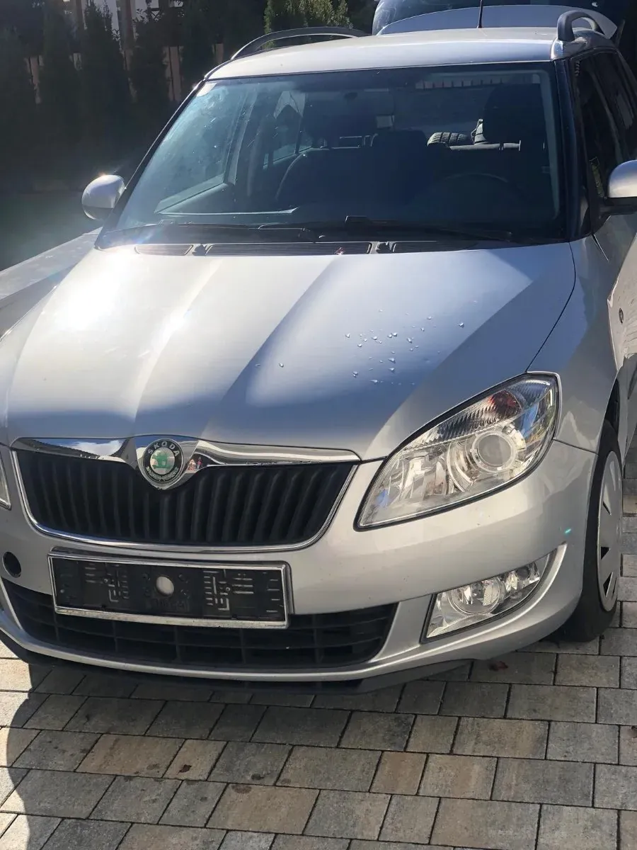 Skoda Fabia 2010 photo 2