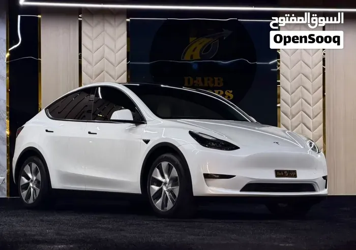 Tesla Model Y 2024 photo 3
