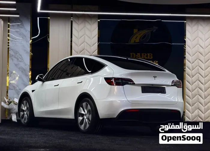 Tesla Model Y 2024 photo 4