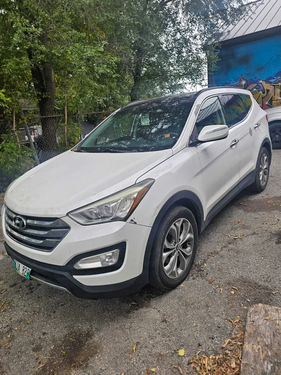 Hyundai Santa Fe 2014 photo 2