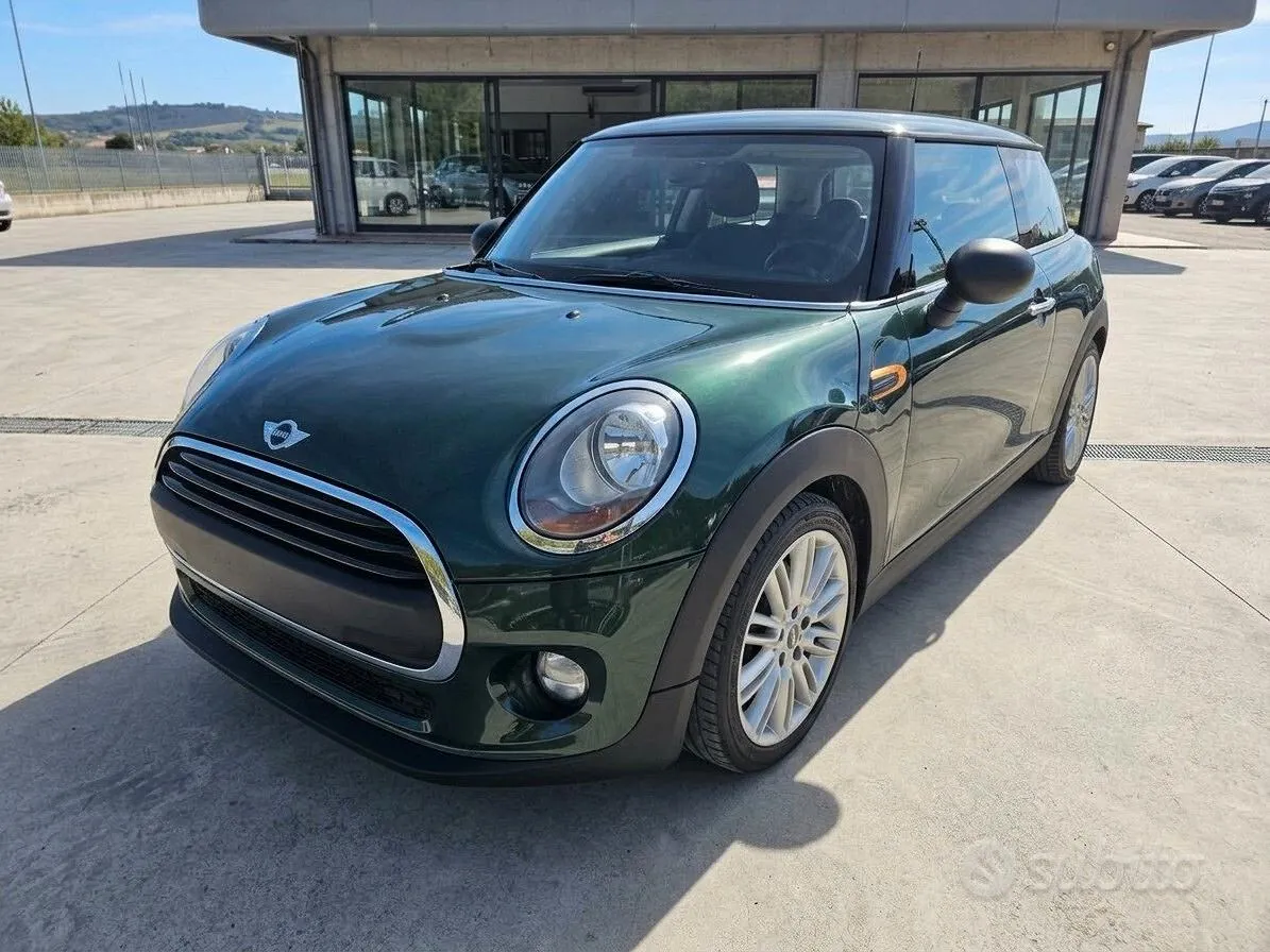 Mini Mini