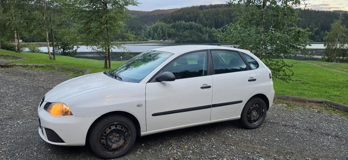 Seat Ibiza 2009 photo 3