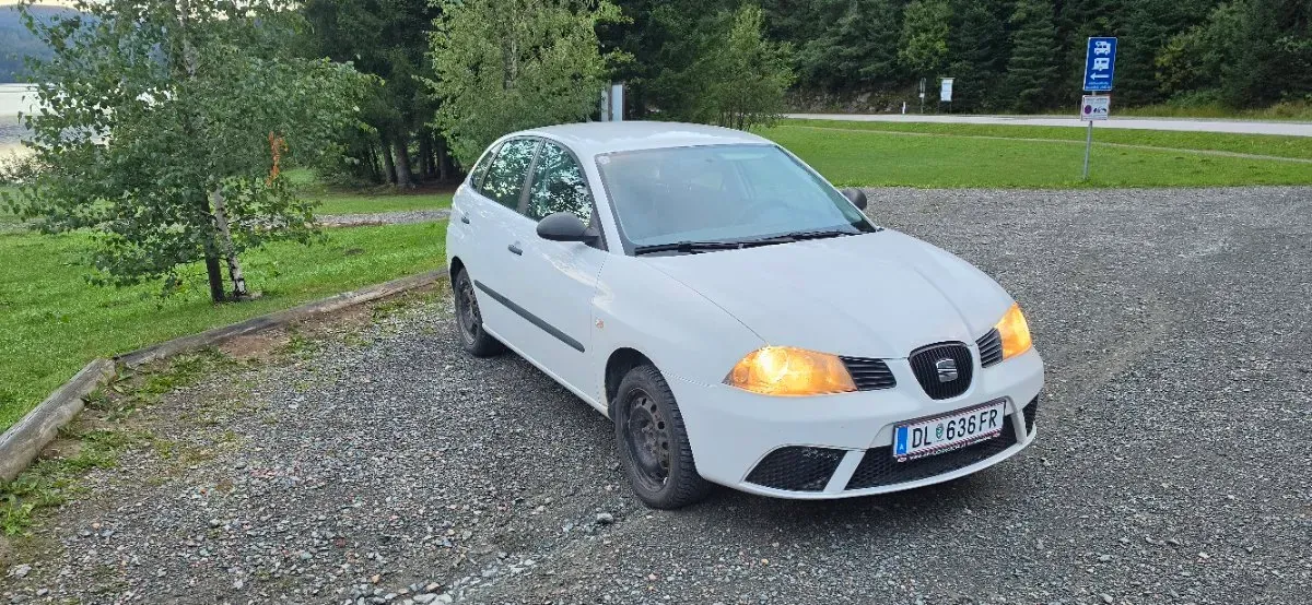 Seat Ibiza 2009 photo 2