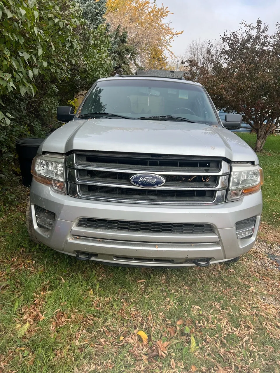 Ford Expedition 2017 photo 2