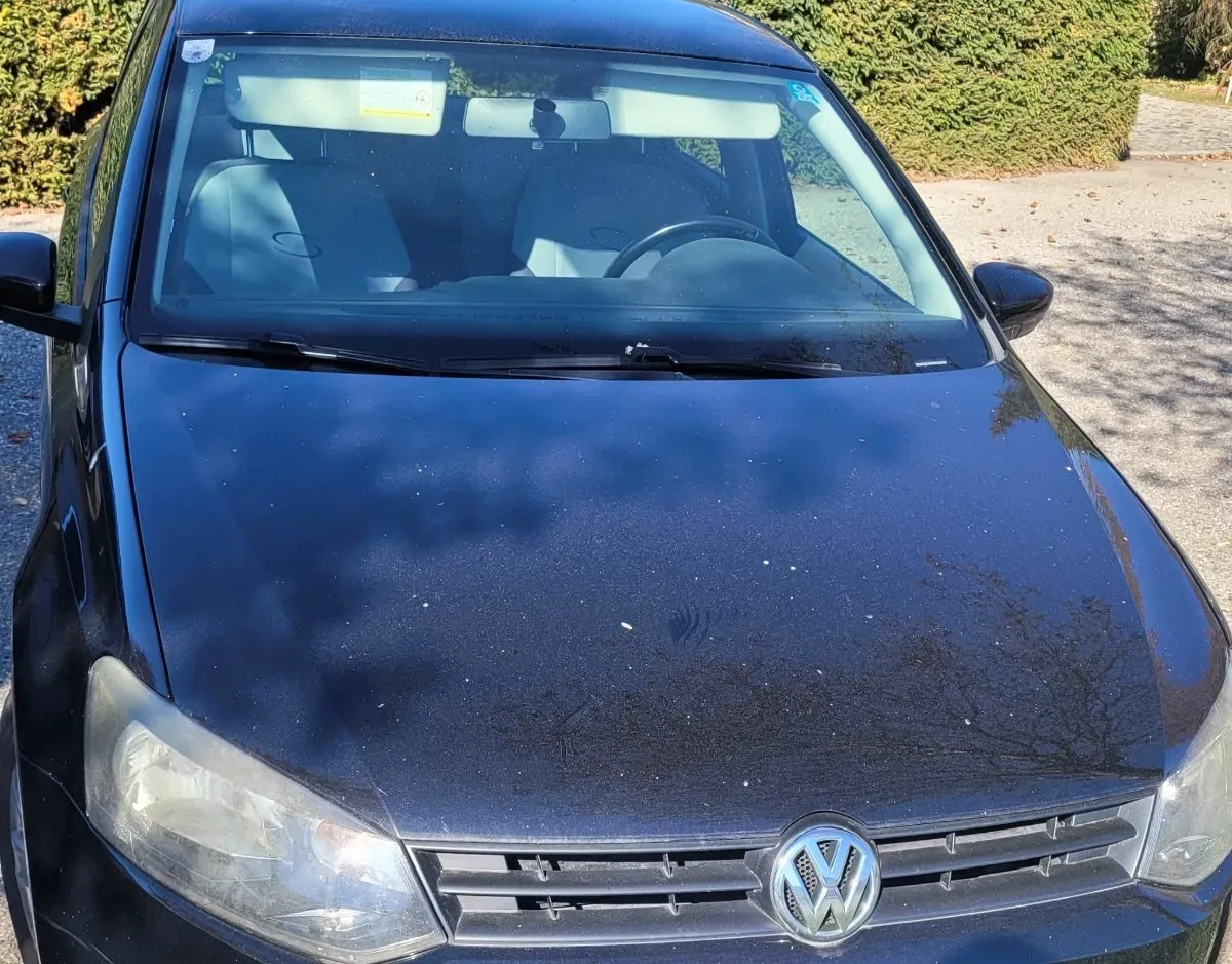 Volkswagen Polo 2010 photo 2