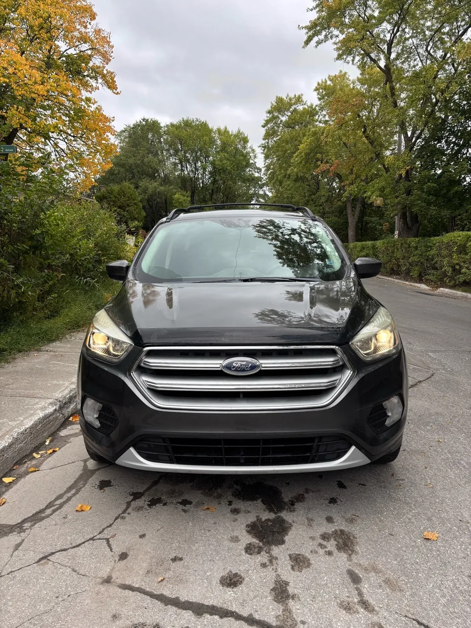 Ford Escape 2017 photo 3