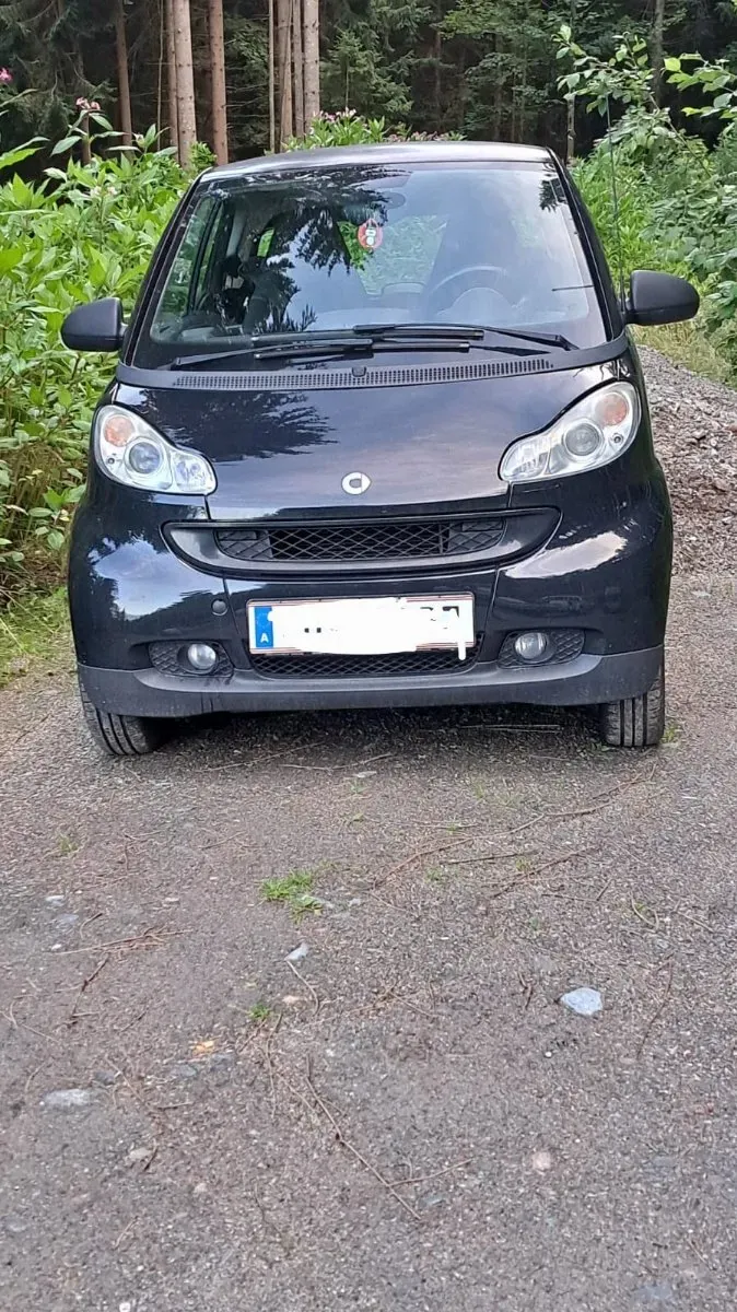 Smart Fortwo 2009 photo 2