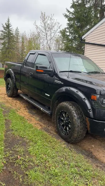 Ford F-150 2013 photo 2
