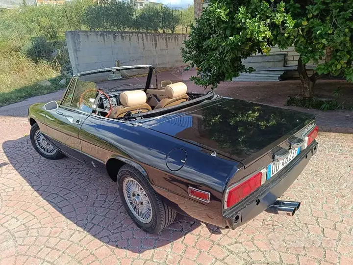 Alfa Romeo Spider
