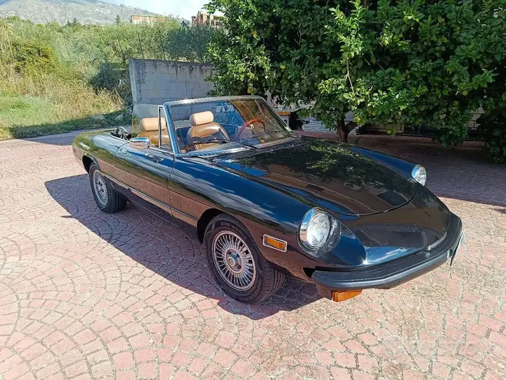 Alfa Romeo Spider 1979 photo 4