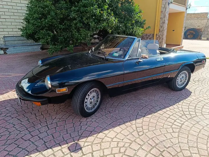 Alfa Romeo Spider 1979 photo 3