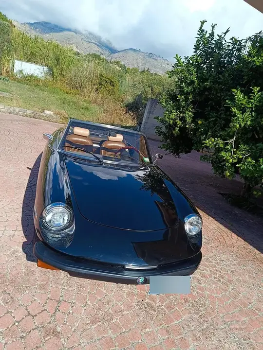 Alfa Romeo Spider 1979 photo 5