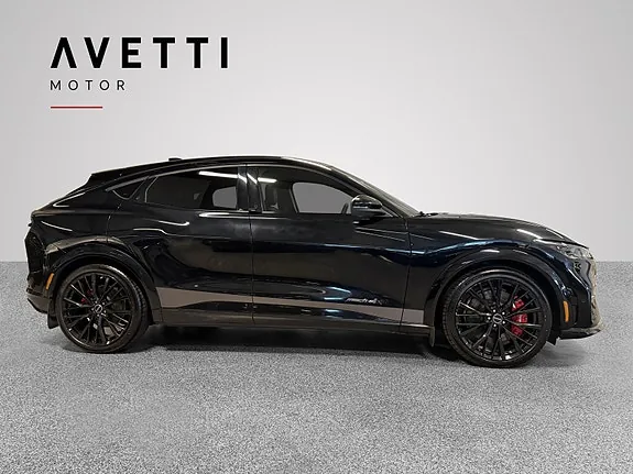 Ford Mustang Mach-E 2022 photo 4