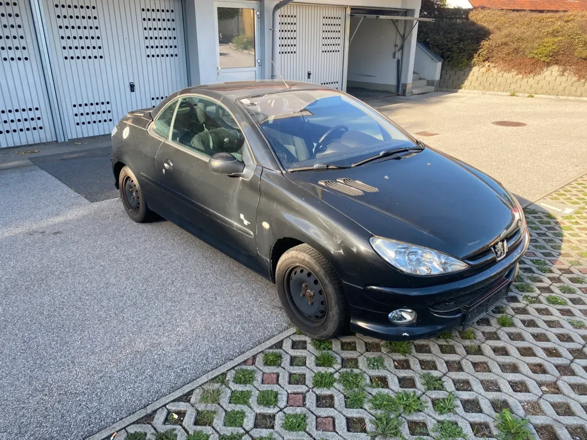 Peugeot 206 2004 photo 2
