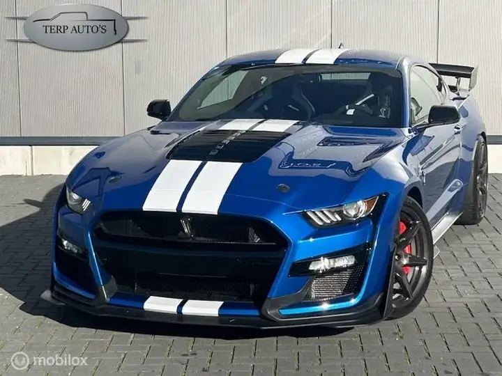 Ford Mustang Gt500 Shelby
