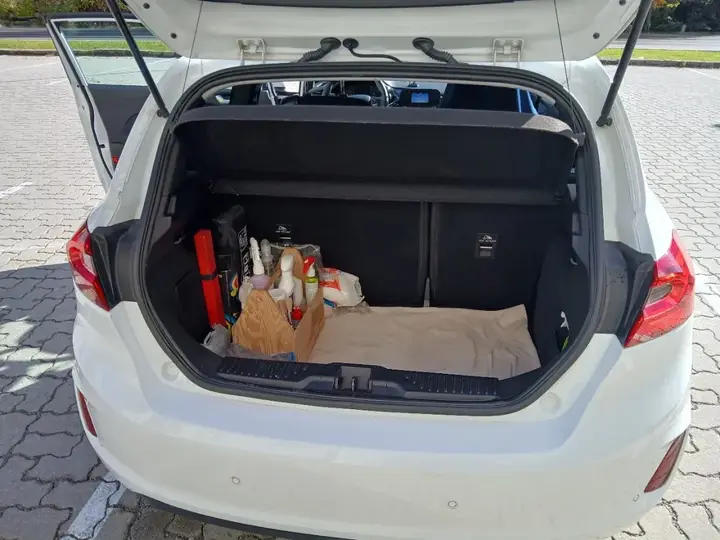 Ford Fiesta 2019 photo 2