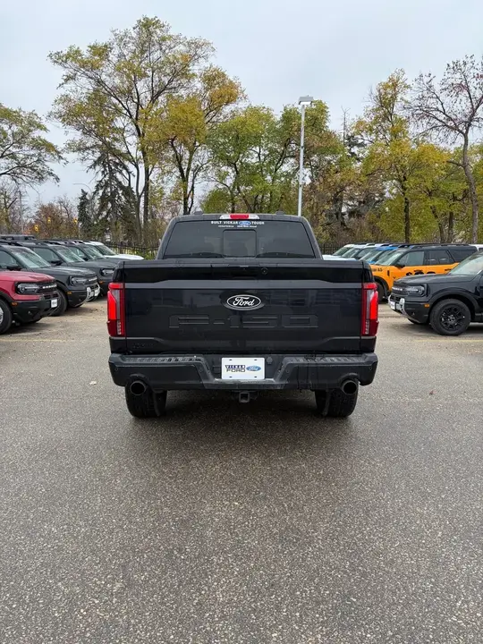 Ford F-150 2024 photo 4