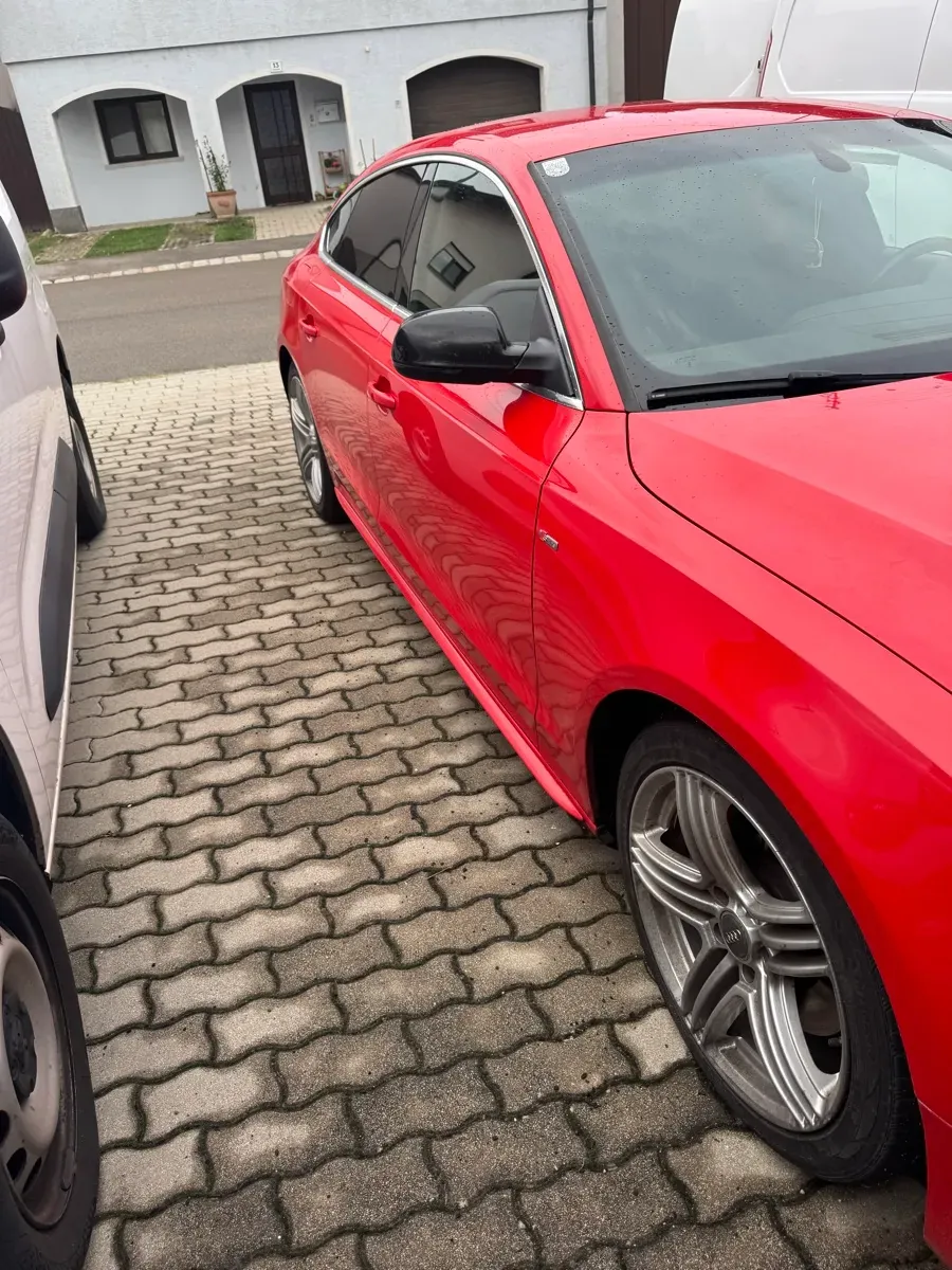 Audi A5 2010 photo 3