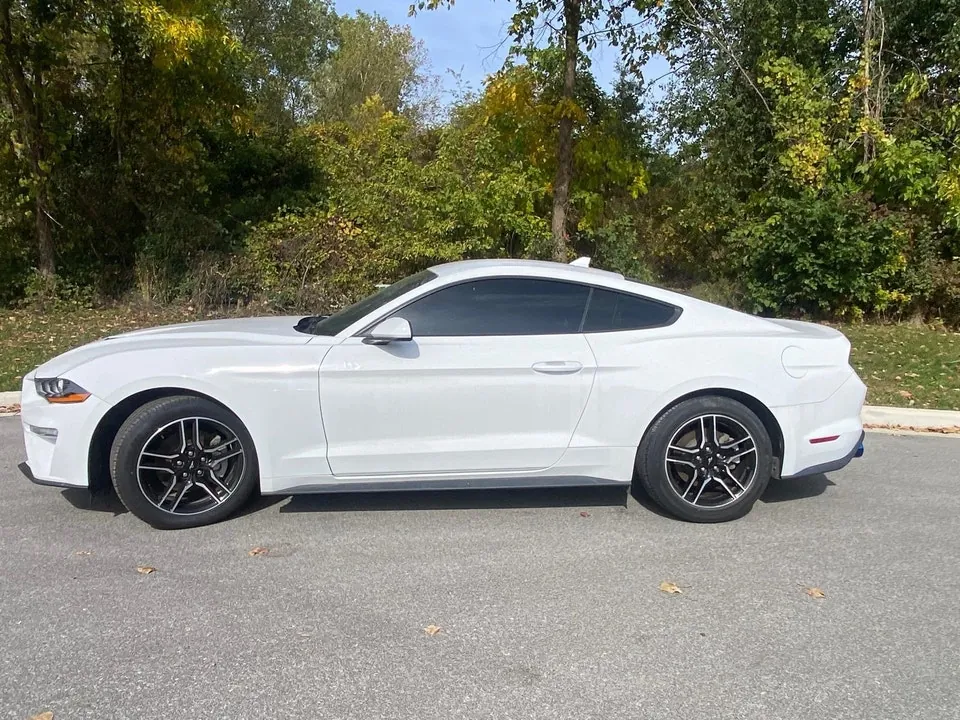Ford Mustang 2022 photo 2