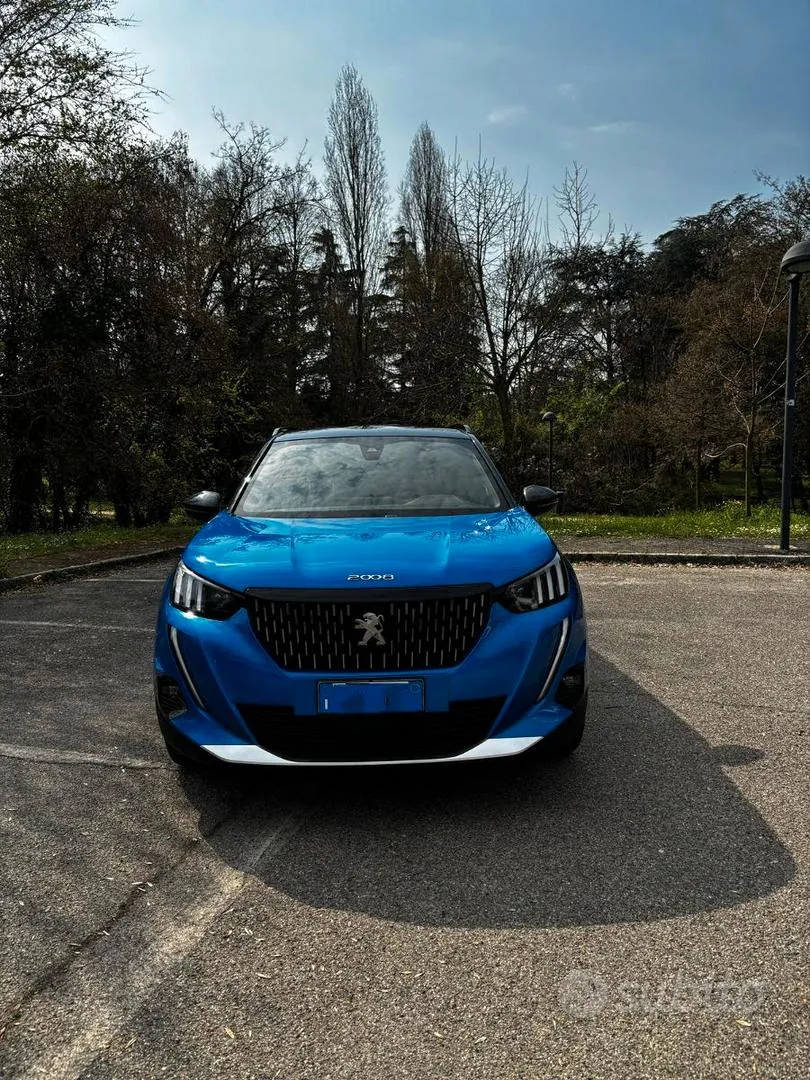 Peugeot 2008 2021 photo 2