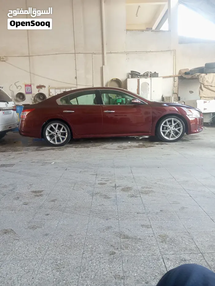 Nissan Maxima 2011 photo 2