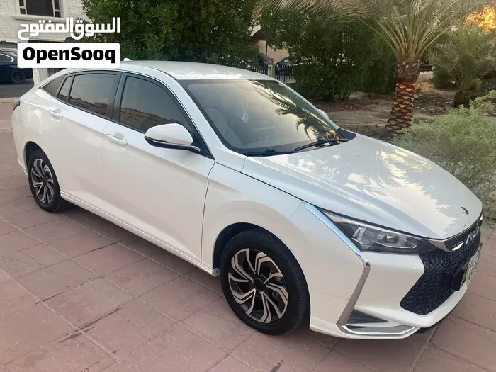 Dfm Sonata 2020 photo 3