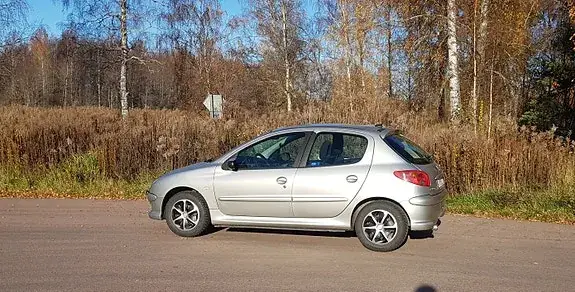 Peugeot 206 2006 photo 2