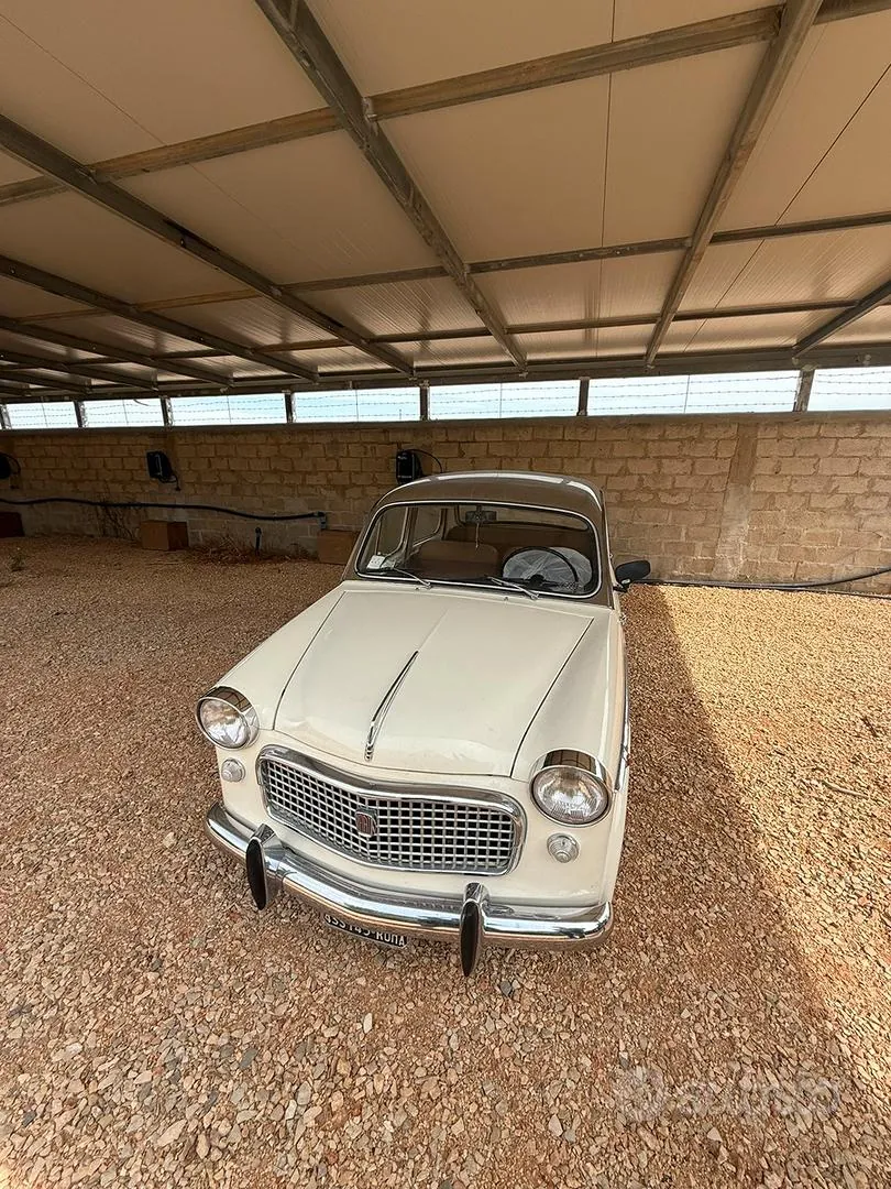 Fiat 1100