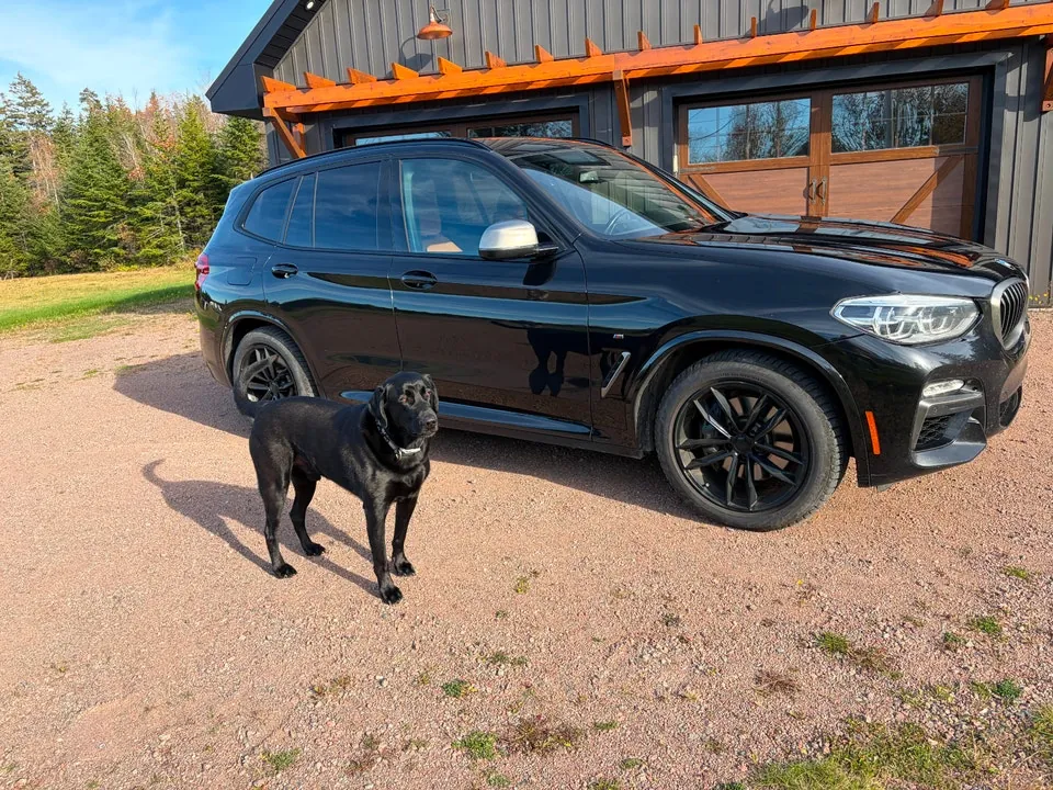 BMW X3 M40I 2018 photo 3