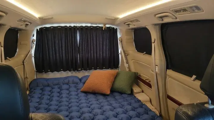 Toyota Alphard 2010 photo 2
