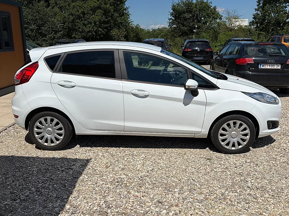 Ford Fiesta 2016 photo 2