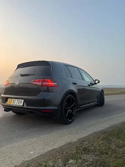 Volkswagen Golf Vii 2016 photo 4